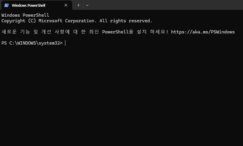 Windows PowerShell terminal screen