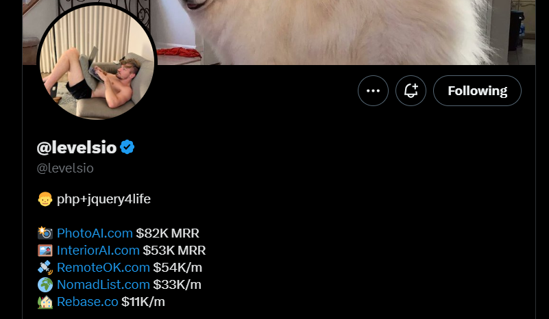 Pieter Levels X Profile