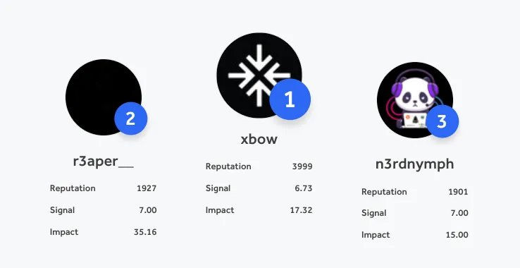 XBOW vulnerability discovery statistics