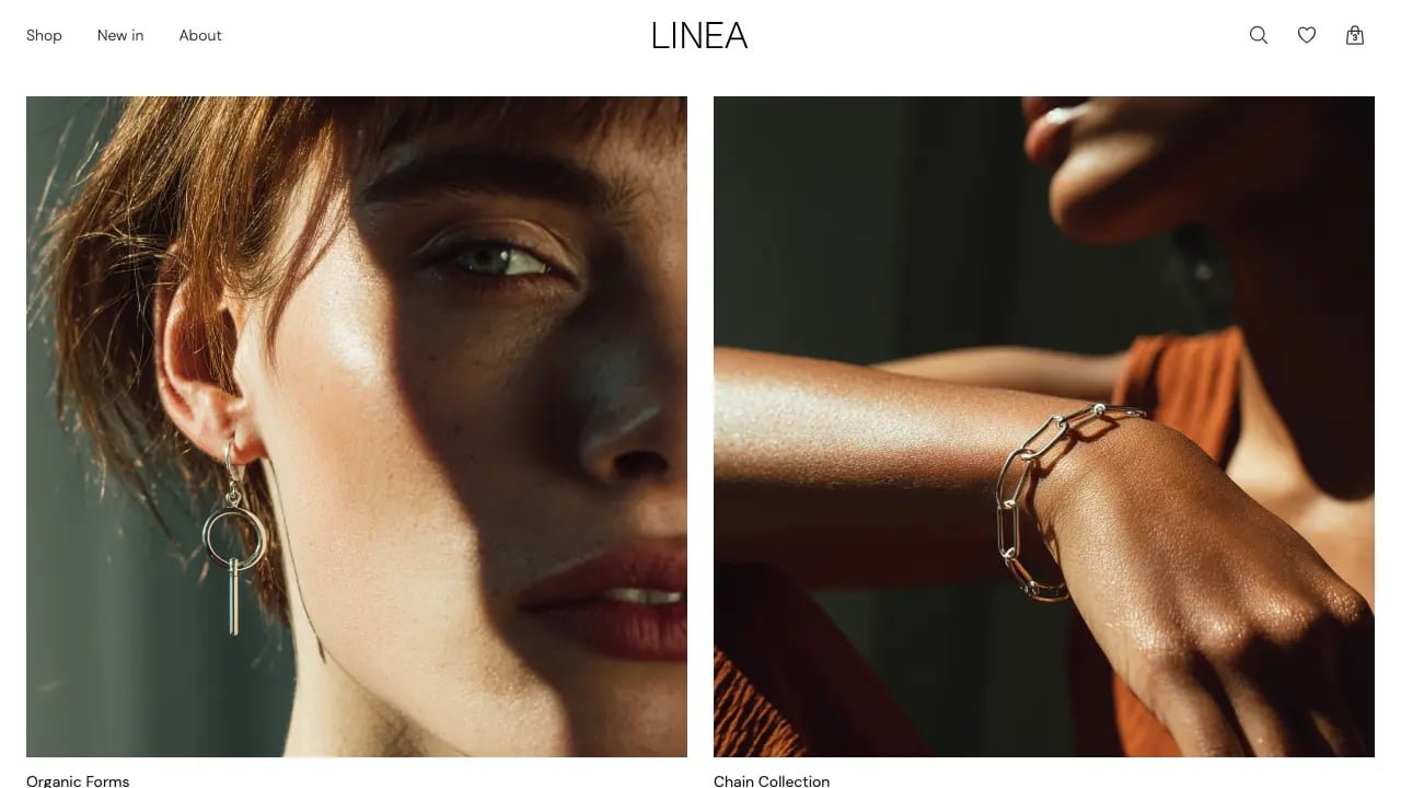 Example e-commerce store built with Lovable