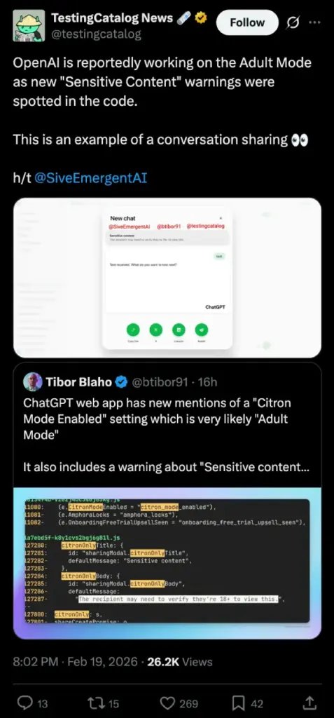 ChatGPT 18-plus age verification warning that was found in the code for adult mode conversations