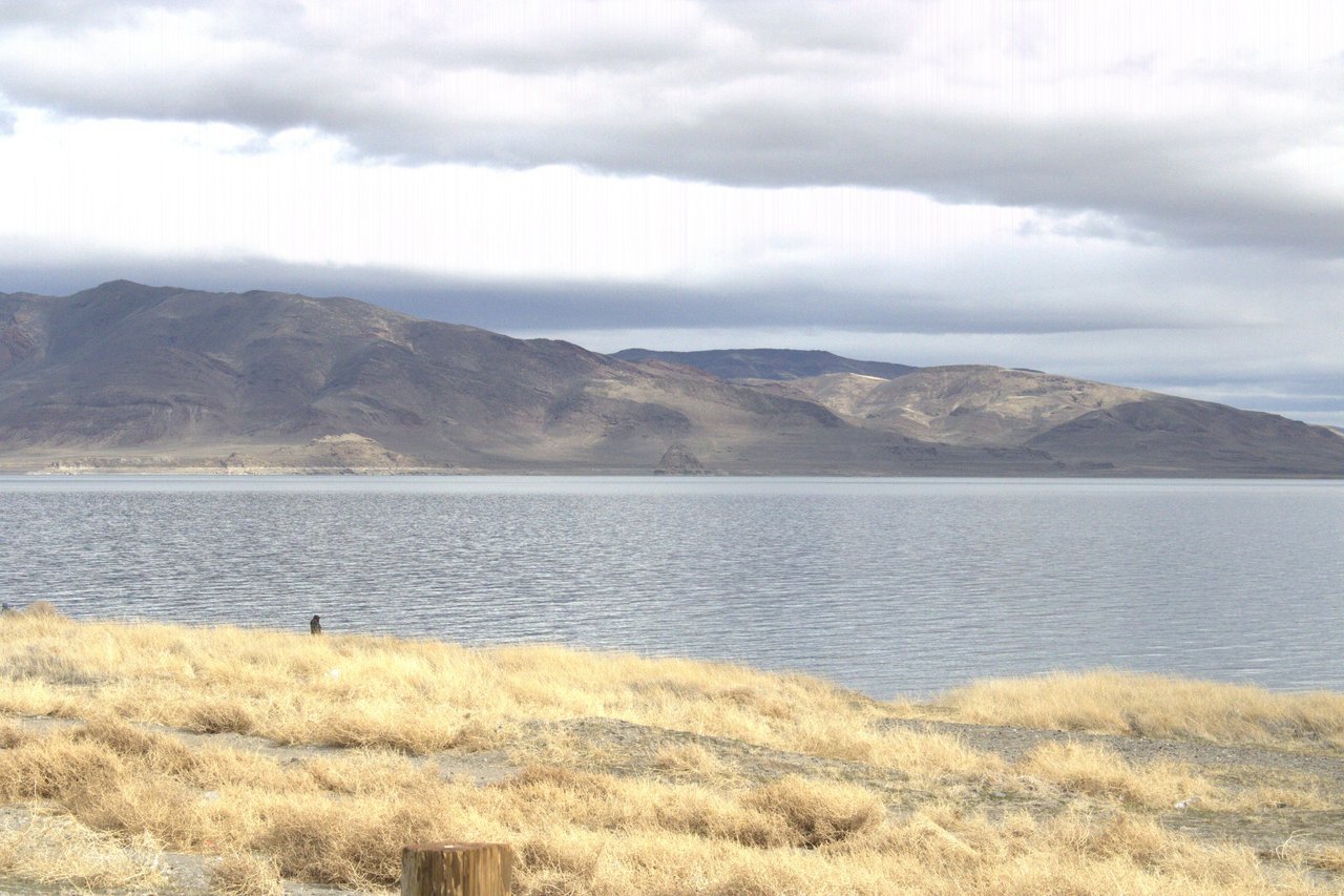 Honor the Earth No Data Centers Coalition opposing AI data centers on Indigenous land